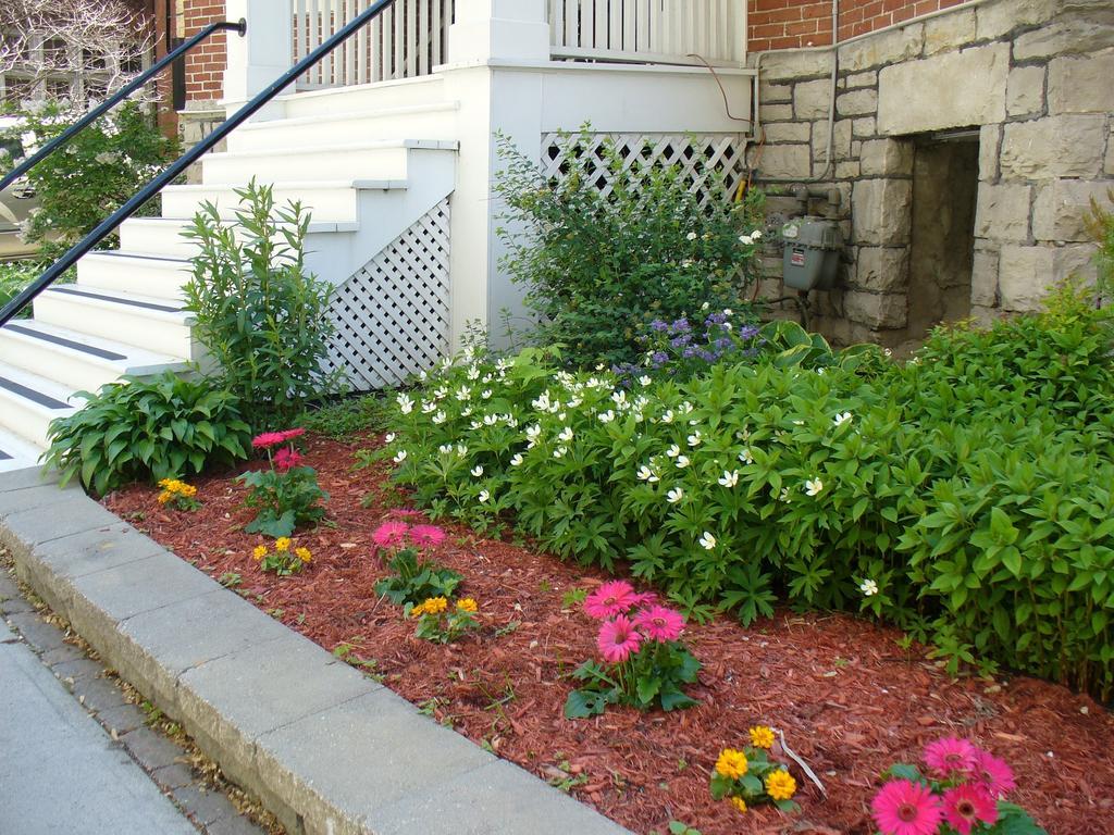 Albert House Inn Ottawa Esterno foto
